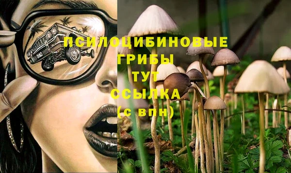 наркотики Белокуриха