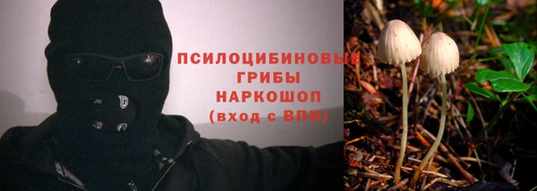 ECSTASY Белоозёрский