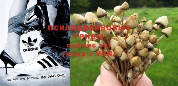 ECSTASY Белоозёрский