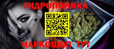 эйфоретик Гусь-Хрустальный