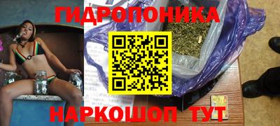 эйфоретик Гусь-Хрустальный