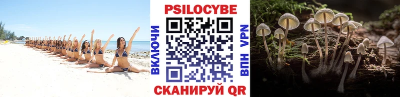 продажа наркотиков  Гай  Галлюциногенные грибы Magic Shrooms 
