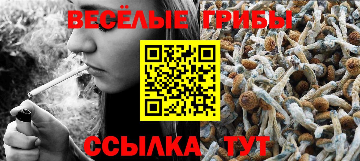 Галлюциногенные грибы GOLDEN TEACHER  Галлюциногенные грибы Cubensis  Вход с VPN  Гай 