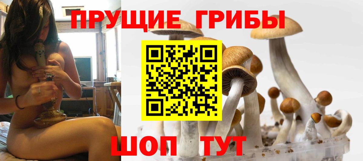 Псилоцибиновые грибы GOLDEN TEACHER Гай
