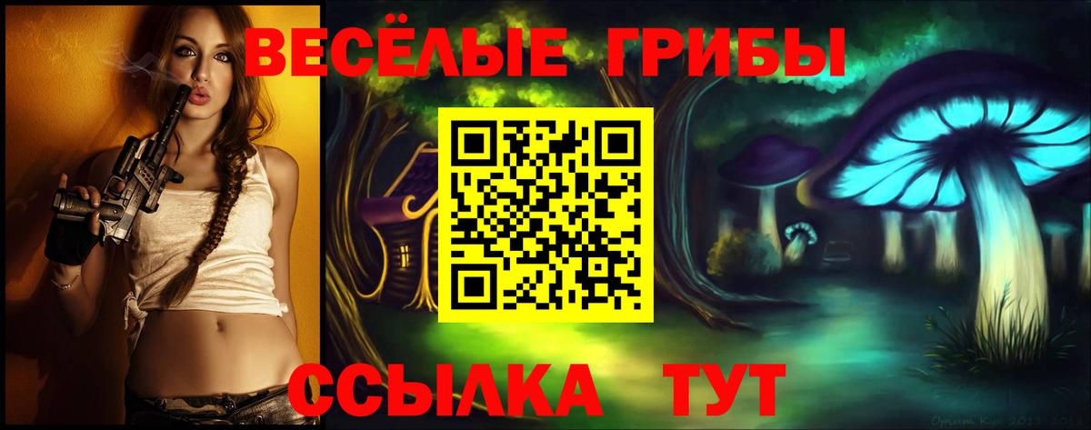 Галлюциногенные грибы Psilocybine cubensis Гай