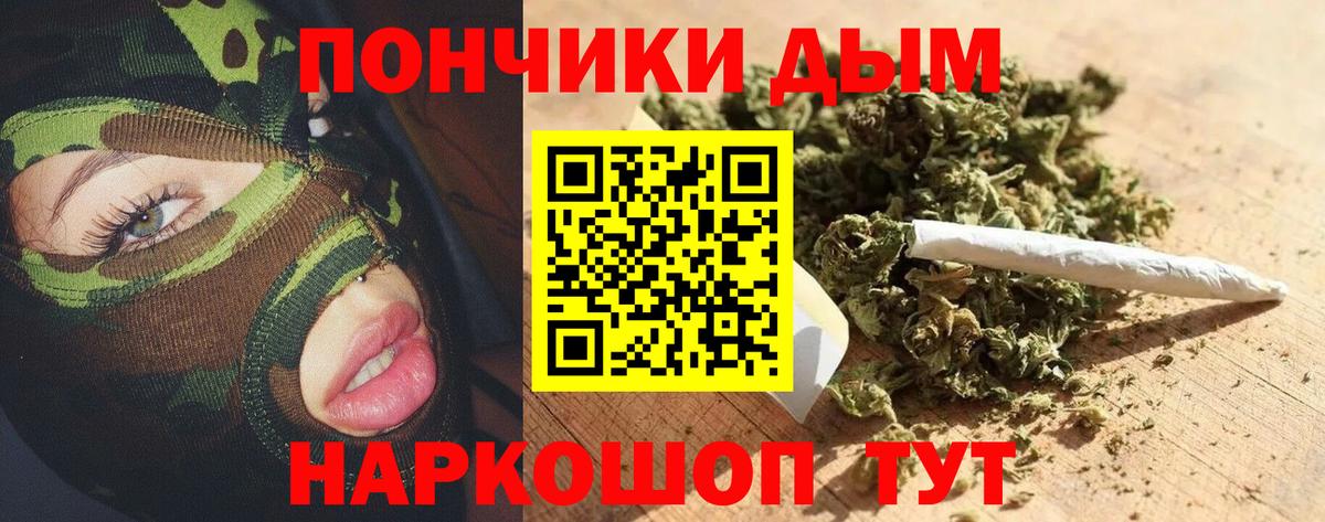 Каннабис Amnesia  Канабис Amnesia  Шишки марихуана OG Kush  Гай 