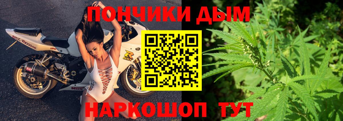 Шишки марихуана семена Гай